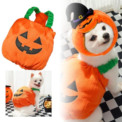 Yiartion Hund Halloween Weihnachten Kürbis Transformation Kostüme Lustige Katze Zwei Beinige Haustier Teddy Hundekleidung Haustier Kürbis Transformation Kleidung von Yiartion