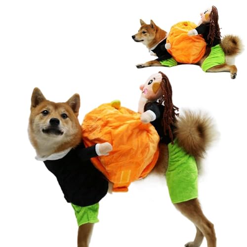 Yiartion Hund Katze Kürbis Halloween Kostüm 2024 Neue Haustier Halloween Cosplay Kostüm Lustige Hund Halloween Kostüme für kleine mittlere große Rasse von Yiartion