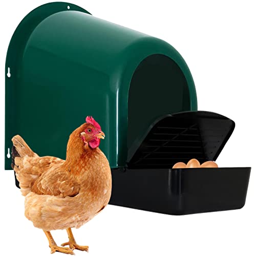 5 Stück Nistkästen für Hühnerstall – Hühner-Nistkasten zum Verlegen von Eiern – Roll-Away Nistkästen Huhn und Geflügel – Hühner-Legeboxen mit Sitzstange, Rollout Egg Collection & Protect (Grün) von Yibesi