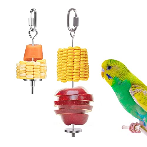 Yih Vane 2Pcs Vogelspieße Edelstahl Gemüse Obst Stick hängender Halter für Vogelfuttersuche von Yih Vane