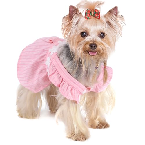 Hundekleid, Rosa, Größe XS von Yikeyo