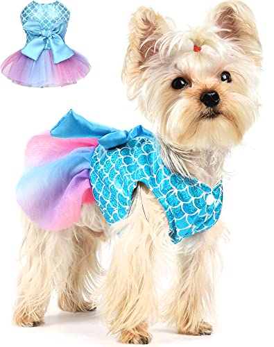 Hundekleid Meerjungfrau Tüll S Blau Hündinnen Kleidung für kleine Hunde Mädchen Niedliche Prinzessin Hundekleid Haustier Welpe Outfits für Valentinstag, Geburtstag, Hochzeit, Frühling von Yikeyo