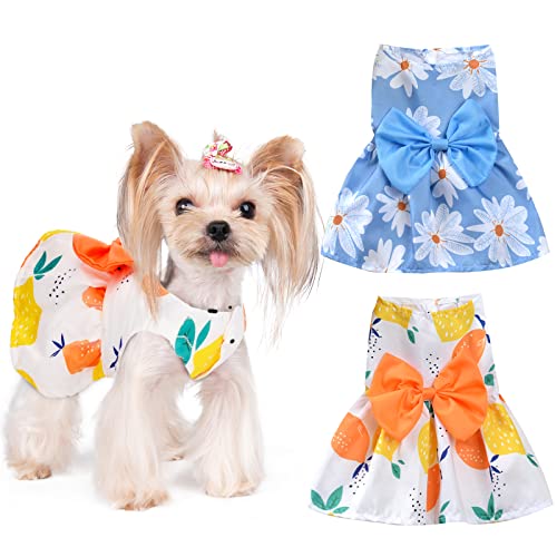 Hundekleid für kleine Hunde, Mädchen, Tutu, Prinzessin, Blumenkleidung für Frühling und Sommer, 2er-Pack (Größe XL, Blau und Gelb) von Yikeyo