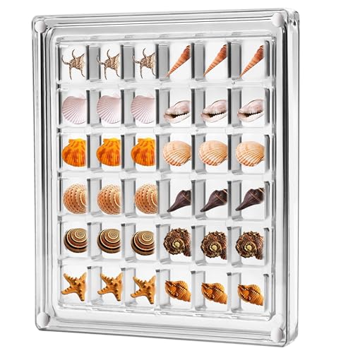 Muschel Sammelbox,Acrylic Magnetic Seashell Display Box Seashell Storage Box Multifunktional Aufbewahrungsbox für Bead Nail Jewelry (36 Grids) von YiliYa