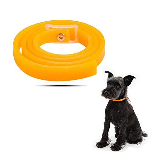 Yissma Halsband für Hunde und Katzen, Wasserdicht Hund Flohhalsband für Kleine Groß Haustiere,Natürliche & Sicherheit, natürliche Formel von Yissma