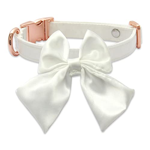 Yiwong Satin-Hundehalsband, Elegantes Teddybär-Halsband mit Schleife, Schnallenhalsband für kleine und mittelgroße Katzen und Hunde von Yiwong