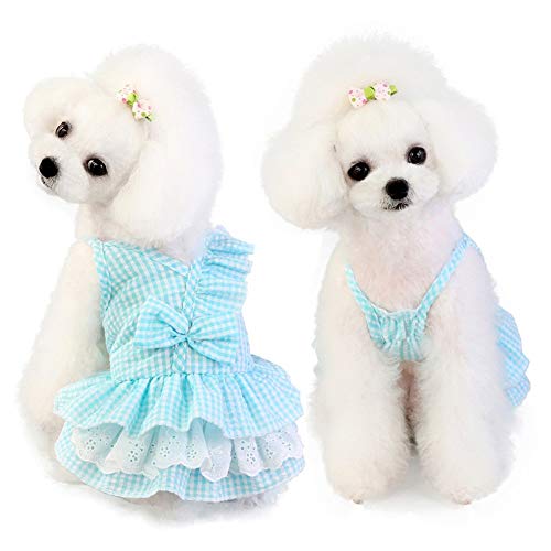 Hund Haustier Frühling und Sommer Plaid Rock Kleidung Baumwolle Haustier Hund Kühlrock für Kleidung Klein Groß Teddy (Farbe: Blau, Größe: S) von Yliping