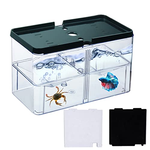 Kleines Betta-Fischtank, 3-in-1 stapelbares Mini-Fischtank, geteilte Fächer, Beta-Fischtanks für 2 Betas Garnelen, Meeresaffen, Acryl, winziges Aquarium mit Brutkasten (schwarzer Deckel) von Yobiisolut