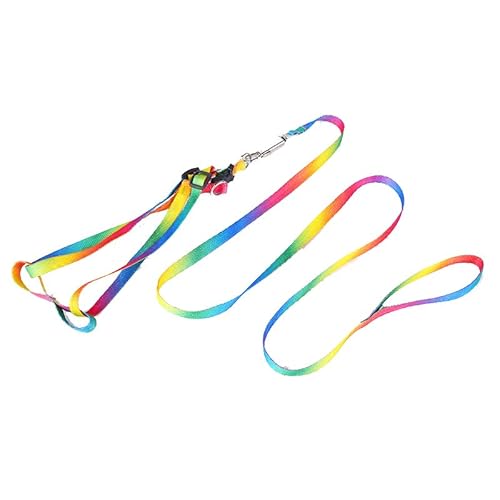 Hochwertiges H-Geschirr und Leine, Set für kleine Hunde, mit Leine, Hundegeschirr, kein Ziehen, kein Ziehen, Hundegeschirr, kleine Hunde, Welpengeschirr (Regenbogen, Breite: 10 mm, Länge: 110 cm) von Yogini