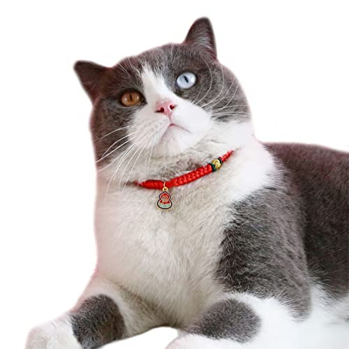 Yokawe Welpenhalsband Urlaub Dress Up mit Glückszubehör Neujahr Katze dekoratives Halsband Partyzubehör Rot Schwarz S von Yokawe