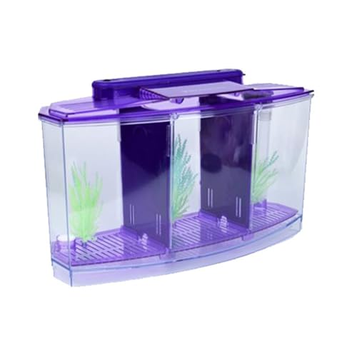 Yominerr Mini Zuchtfischtank Aquarium Fischtank LED ACRYRIC DREI Abteilungen Zuchtisolation Box für Kleine Fische Lila Yominerr Mini Zuchtfischtank Aquarium Fischtank LED ACRYRIC DREI Abteilungen Zuchtisolation Box für Kleine Fische Lila von Yominerr