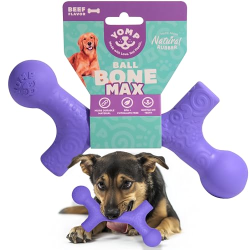 Yomp BallBone Max Hundespielzeug aus Naturkautschuk, ungiftig, sicher zum Spielen von Haustieren (lila) von Yomp