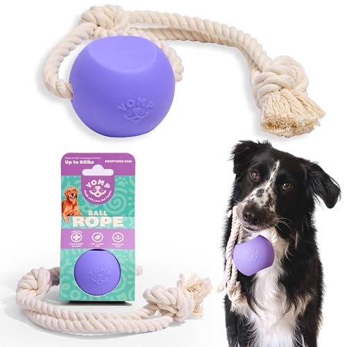 Yomp BallRope Hundespielzeug – Interaktives Outdoor-Apportierspielzeug für sicheres Spielen mit Haustieren, aus strukturiertem und ungiftigem Silikon – für weiche und mittlere Kauer von Yomp