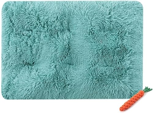 YongXinMY Hundebett-Matte, Katzenbett-Pad, weich, warm, selbstheizend, Plüschdecke für Welpen, Kätzchen, waschbar, wendbar, für drinnen und draußen, Kofferraum (L-80 x 55 cm, Türkisgrün) von YongXinMY