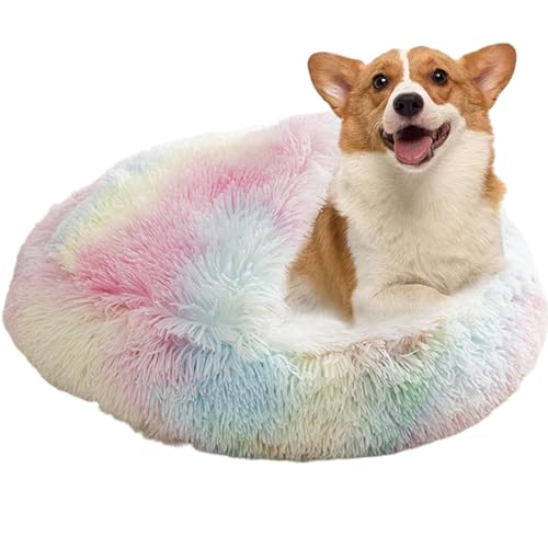 Yonuaret Beruhigendes Bett Für Katzen Und Kleine Hunde, Katzenbett Waschbar Haustierbett, Donut Flauschig Rund Cat Bed, Katzenbett Flauschig Katzendecke Haustierbett Für Kleine Hunde,M/L von Yonuaret