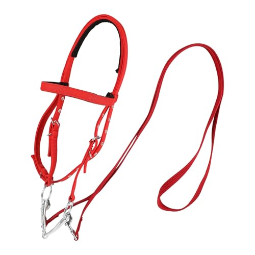 Yonuaret Kopfstall, Draft Horse Bridle,Trail Riding Horse Snaffle - Nylon -eband -Zügel für Männer, weich gefütterte Pfadreiten Reitreitmittel. von Yonuaret