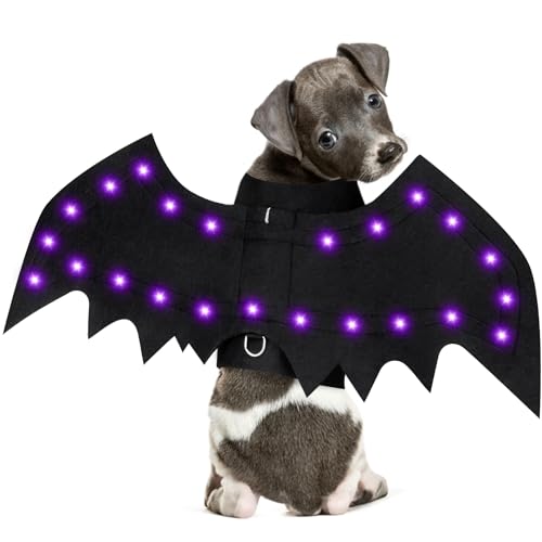 Yoochee Halloween-Hundekostüm, Schwarz, Größe M von Yoochee