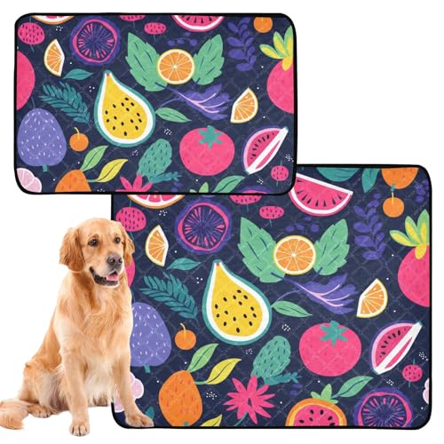 Uriniermatte für große Hunde, waschbar, rutschfeste Matte für Hunde, für Autositz, 61 x 91,4 cm + 91,4 x 106,7 cm, buntes Obst-Cartoon, 2 Stück von Yoogain