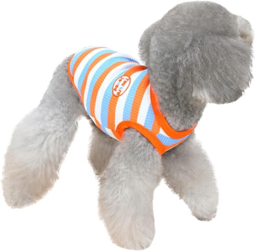 Haustier Hund Gestreiftes T-Shirt für kleine Hunde Katzen Kleidung Sommer Baumwolle Shirt Welpen Kleidung Ärmellose Weste Kurze Shirts, S-XXL (Orange, XXL) von Yoolhamy