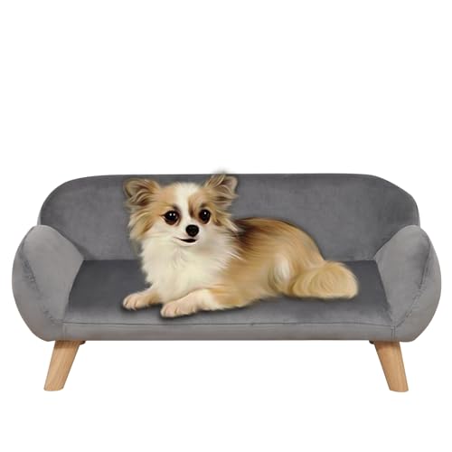 Yoonnie room Hundesofas und Stühle für kleine Haustiere, Holzrahmen, Katzen-Sofa, Stuhl, Haustier-Sofa, Bett mit Samt, Hundesofa für kleine Hunde (grau) von Yoonnie room