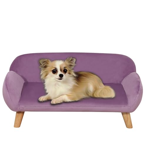 Haustiersofa / Luxus Samt Stoff Hundesofa / Mode Design Hundesofas und Stühle / Langlebig Holzrahmen Haustierbett / Hundebett mit festen Füßen / Sofa für Hunde für kleine Hunde (lila) von Yoonnie room