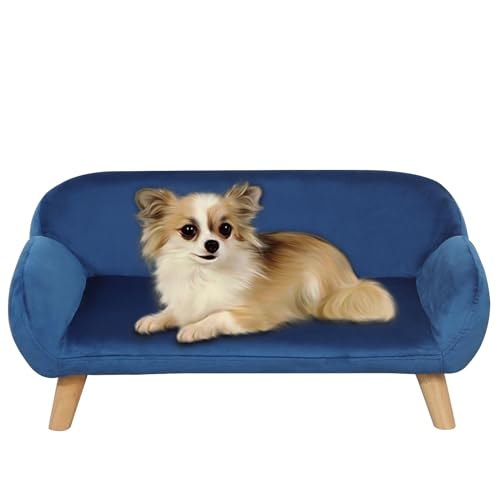 Yoonnie room Hundesofas und Stühle für kleine Haustiere, Holzrahmen, Katzen-Sofa, Stuhl, Haustier-Sofa, Bett mit Samt, Hundesofa für kleine Hunde, Blau von Yoonnie room