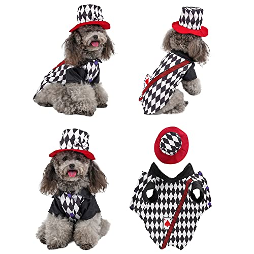 Yoption Hund Katze Magier Kostüme, Haustier Halloween Weihnachten Cosplay Kleid Hoodie Lustige Outfits Kleidung für Welpen Hunde (L) von Yoption