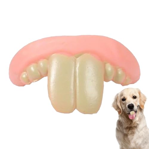 Fake Dog Teeth, Zahnersatz Für Hunde, Zahnspangen Für Hunde, Funny Fake Teeth for Dogs, Lustige Zahnprothesen Für Hunde, Hundespielzeug Zähne Lustig, Künstliche Zähne Für Hunde, Haustier, Kaninchen von Yorajuy