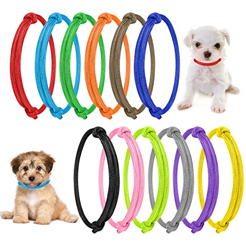 Yorgewd 12-teiliges Halsband für Welpen, Hundehalsbänder, verstellbar, farbig, für Neugeborene, Haustiere von Yorgewd