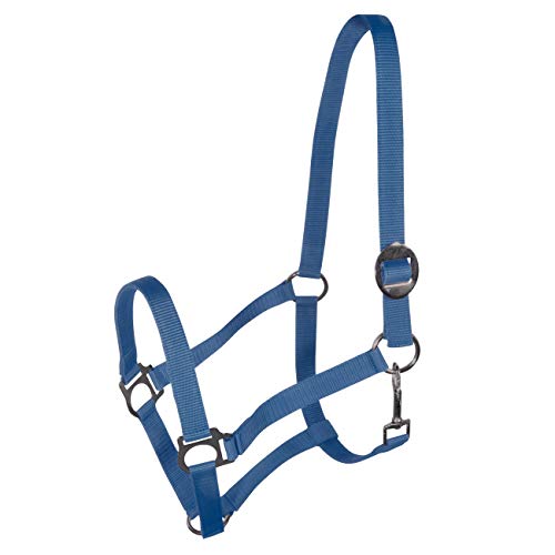 York Nylonhalfter Halfter Genickstück Verstellbar durch Schiebeschnalle Harmony Pferdehalfter (Pony, blau) von York Fitness