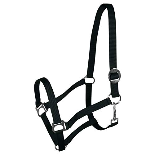 York Nylonhalfter Halfter Genickstück Verstellbar durch Schiebeschnalle Harmony Pferdehalfter (Pony, schwarz) von York Fitness