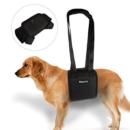 Portable Dog Lifting Support Harness - Hund Hilfe mit schwachen Vorder- oder Hinterbeinen Steh auf, geh, steig in Autos ein, klettere Treppen um zu deaktivieren, verletzt, älteres Haustier (Größe: XL) von Yosoo