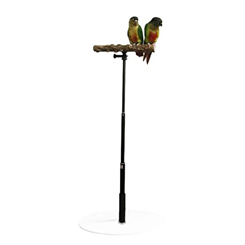 Papageien-Tischständer, 91,4 cm, verstellbarer Ständer für Vögel, Vogelständer, Tischplatte, tragbarer Papageienständer, Vogelsitzstange, ausziehbare Sitzstange aus Holz für Papageien, Sittiche, Vögel von Youding