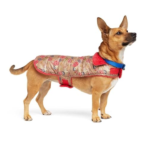 Petco Brand Youly Hundejacke, wendbar, gemütlich, mit Blumenmuster, Größe S/M, Rot von Youly