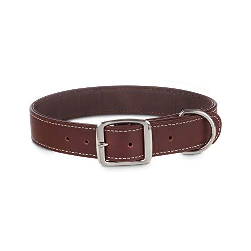 Youly Braunes Lederhalsband für große Hunde, Größe XL/XXL von Youly