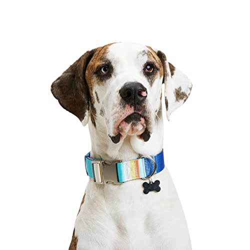 Youly Gestreiftes Hundehalsband, blau gestreift, Größe XL/XXL von Youly