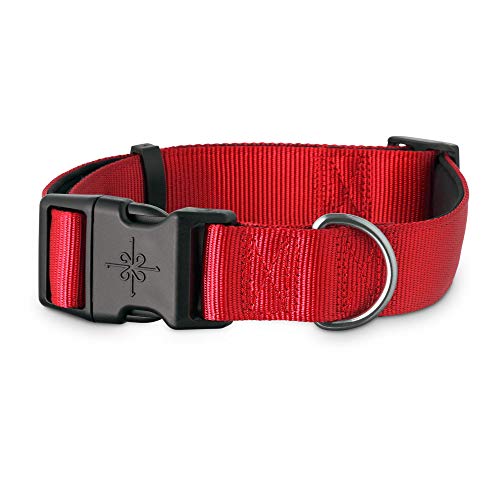 Youly Hundehalsband, Neopren, gepolstert, Größe XX-Large/XXXL, Rot von Youly