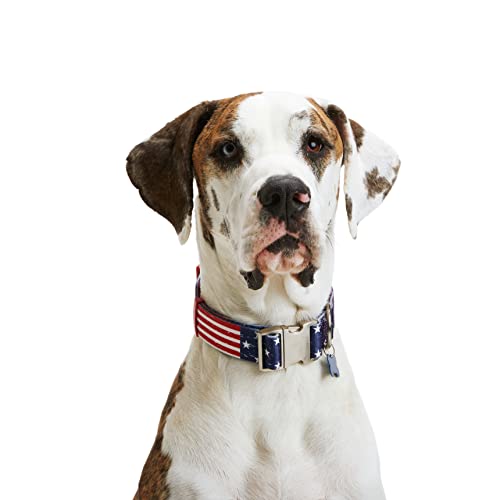 Youly Hundehalsband mit amerikanischer Flagge, Größe XX-Large/XXXL von Youly