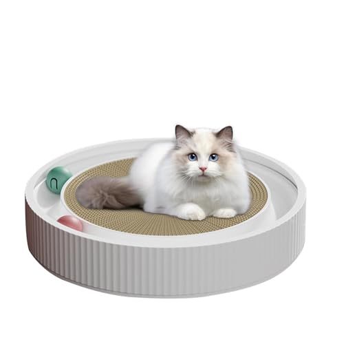 Youngwier Katzen-Kratzunterlage,Katzenspielzeug Roller Scratcher Pad | Katzenkratzspielzeug, Kätzchenspielzeug, Katzenkratzunterlage für Kätzchen und Hauskatzen, Katzenbett Youngwier Katzen-Kratzunterlage,Katzenspielzeug Roller Scratcher Pad | Katzenkratzspielzeug, Kätzchenspielzeug, Katzenkratzunterlage für Kätzchen und Hauskatzen, Katzenbett von Youngwier