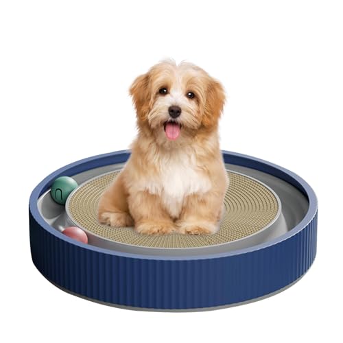 Youngwier Katzenkratzer für Hauskatzen,Katzenspielzeug Roller Scratcher Pad - Kratzspielzeug für Indoor-Katzen, interaktives Kätzchen-Spaß-Puzzle-Spielzeug für geistige körperliche Bewegung Youngwier Katzenkratzer für Hauskatzen,Katzenspielzeug Roller Scratcher Pad - Kratzspielzeug für Indoor-Katzen, interaktives Kätzchen-Spaß-Puzzle-Spielzeug für geistige körperliche Bewegung von Youngwier