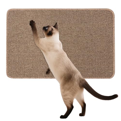 Youngwier Kratzbrett Für Katzen | Kratzpad Für Wohnungskatzen | Kratzschutz Haftend Interaktiv Spielzeug Für Kitten Sofa Couch Spiel Innenbereich Zum Anbringen Youngwier Kratzbrett Für Katzen | Kratzpad Für Wohnungskatzen | Kratzschutz Haftend Interaktiv Spielzeug Für Kitten Sofa Couch Spiel Innenbereich Zum Anbringen von Youngwier