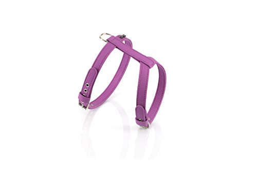 Youpet Dog Harness Model Elements. M Violet von Youpet