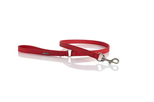 Youpet Model Elements Dog Leash. Red von Youpet