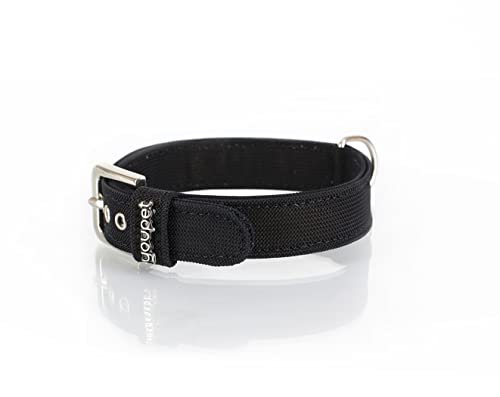 youpet Basic Hundehalsband NY von Youpet