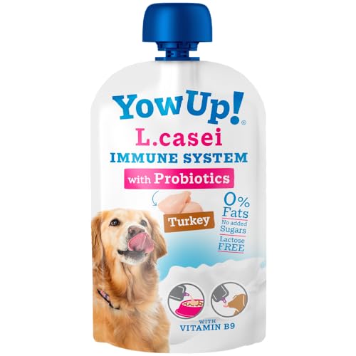 YowUp! Joghurt für Hunde mit Probiotika von YowUp!