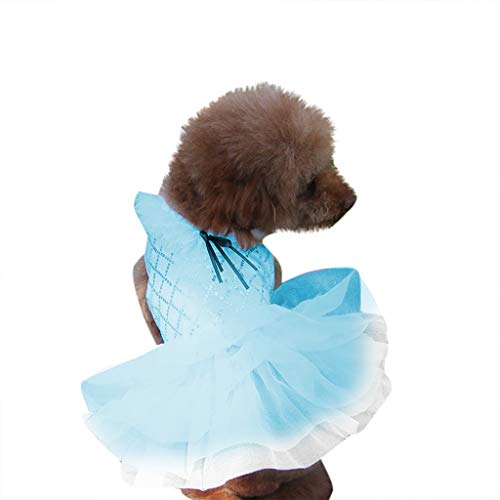 Tutu Rock Mode Haustier Hund Frühling und Sommer atmungsaktiv Durchbrochene glänzende (XL,Blau) von Yowablo