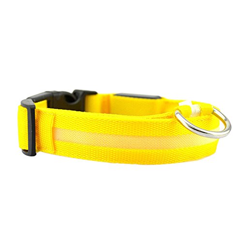 Yowablo Sicherheit Haustierhalsband beleuchtete Nylon Solid Hundehalsband Glow Halskette (2.5 * 38-48cm,3Gelb) von Yowablo