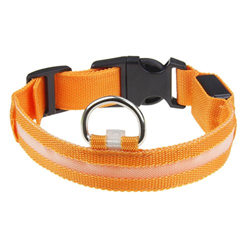 Yowablo Sicherheit Haustierhalsband beleuchtete Nylon Solid Hundehalsband Glow Halskette (2.5 * 38-48cm,3Orange) von Yowablo