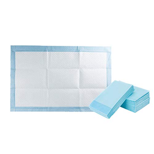 Yowablo Verdickung Haustiere Windeln Haustier Indoor Toilette Trainingspad Pads Saugfähige Matte (30PCS,Blau) von Yowablo