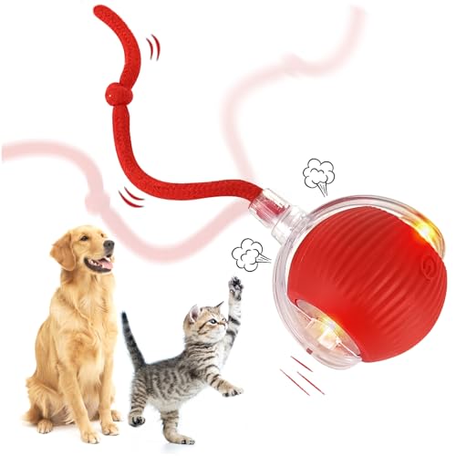 Yozexin Chewie Viraler Rollball, Chewie-Ball für Katzen Hunde, interaktives Hunde-Katzen-Smartball-Spielzeug, Chewie Smart Rolling Pet Ball, 360° Smart Automatisches Rollen Große Kleine Katzen & Hunde von Yozexin